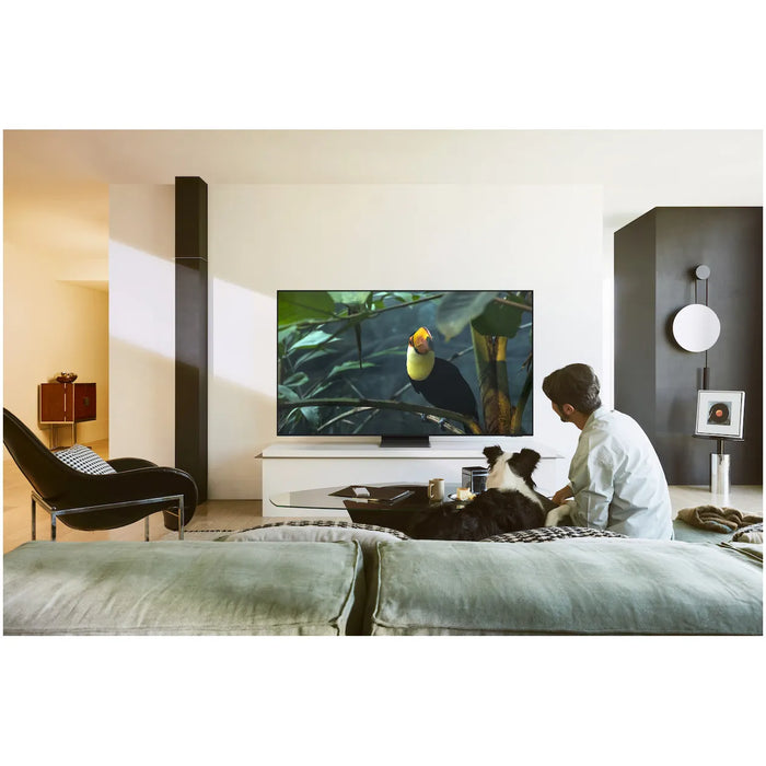 Samsung OLED 4K 55S95F (2025)