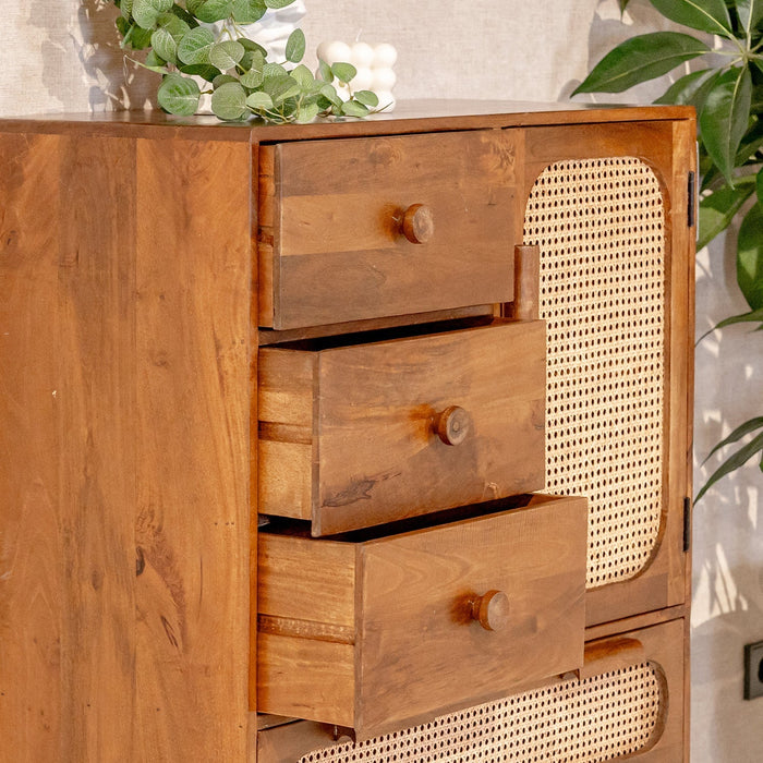 Schrank Brix Anna | Naturfarbenes Mangoholz